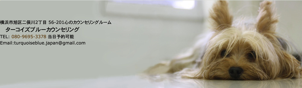 ターコイズブルーカウンセリング